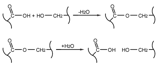 NuPlon formation and degradation